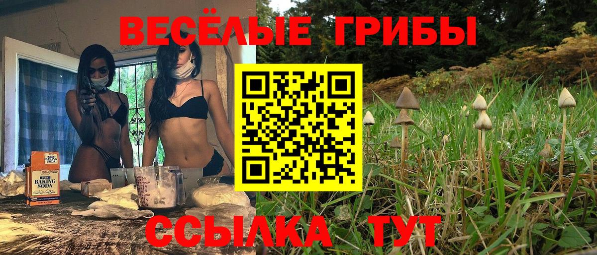 Галлюциногенные грибы MAGIC MUSHROOMS  Вход с VPN  Воткинск 
